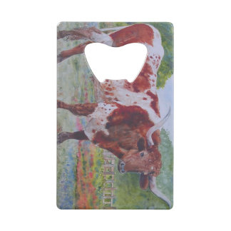 Bottes et Longhorn