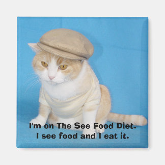 Boubba Kitty Magnet