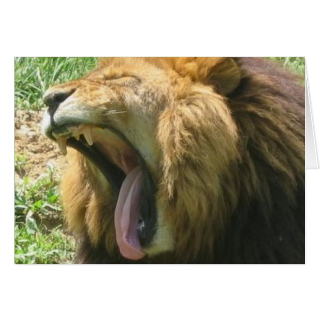 Bouche de lion (Devant horizontal)