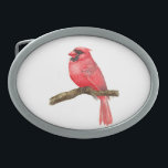 Boucle De Ceinture Ovale Aquarelle cardinale<br><div class="desc">illustration d'un oiseau cardinal sur une branche peinte d'aquarelles,  vous pouvez voir le processus de peinture ici : http://bit.ly/2zCeRZe</div>