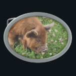 BOUCLE DE CEINTURE OVALE COUPER<br><div class="desc">Un design photographique d'un très mignon cochon kunekune.</div>