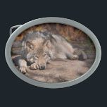 Boucle De Ceinture Ovale Loup de bois<br><div class="desc">Beaucoup de gens ont une fascination pour les loups. Avec cet article,  je partage mon amour pour ces animaux extraordinaires.</div>