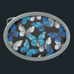 Boucle De Ceinture Ovale Motif sans couleur foncée avec papillons bleus Mor<br><div class="desc">Des papillons réalistes,  bleus et blancs sans couture motif sur arrière - plan noir.</div>