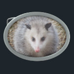Boucle De Ceinture Ovale Opossum impressionnant<br><div class="desc">L'image de faune comporte un portrait d'un opossum.</div>