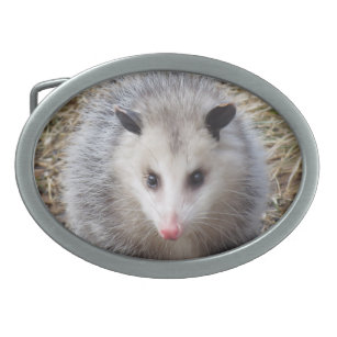 Boucle De Ceinture Ovale Opossum impressionnant
