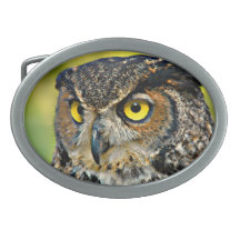 TCWC - Grand hibou à cornes