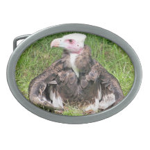 VULTURE