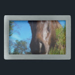 Boucle De Ceinture Rectangulaire Brown et crème Couleur Cheval bleu ciel<br><div class="desc">Brown & Crème Couleur Cheval bleu ciel Photo par Sandy Closs Personnaliser avec votre propre nom ou texte pour créer un cadeau unique. "cheval amoureux" "cheval cadeau",  "cheval cadeau",  "cadeaux pour les chevaux",  "j'aime les chevaux",  "cheval brun",  cheval,  "chevaux cadeaux",  "animaux de ferme",  poney,  poney""cheval amoureux""cheval amoureux</div>