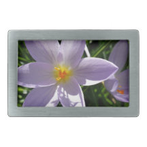 Jolie fleur de jardin violette. 美丽的紫色花