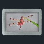 Boucle De Ceinture Rectangulaire Personnaliser<br><div class="desc">Dragon à libellules rouges et noirs,  mouches,  mouches,  libellules,  libellules,  libellules,  vol,  dragons,  insectes,  jardin,  nature,  croissance,  plantes,  libellules et mouches,  sérénité,  plaisir,  été,  joie,  vert orange violet</div>