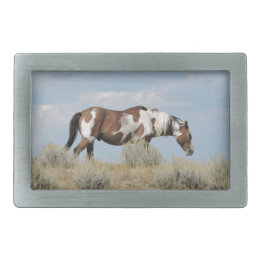 Boucle De Ceinture Rectangulaire Picasso, étalon de lavabo de sable, le Colorado