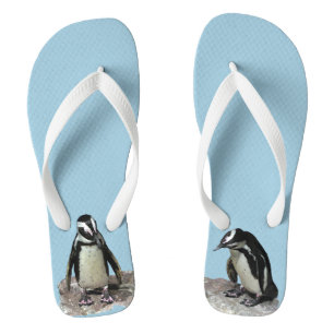 Boucles de tongs d'oiseaux pingouins