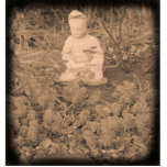Bouddha Photo Sculpture<br><div class="desc">Bouddha Photo Sculpture Woodstock,  NY</div>
