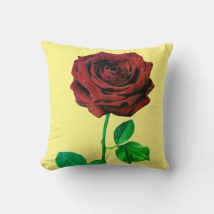 BouddhaAujourd'hui V1 #38 Coussin de Paix 🌹 + Cit