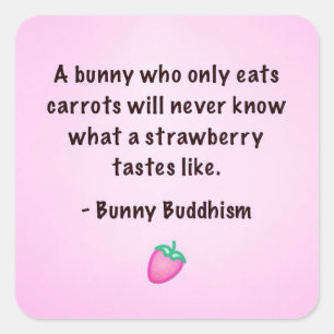 Bouddhisme de lapin "goût autocollants de fraise"