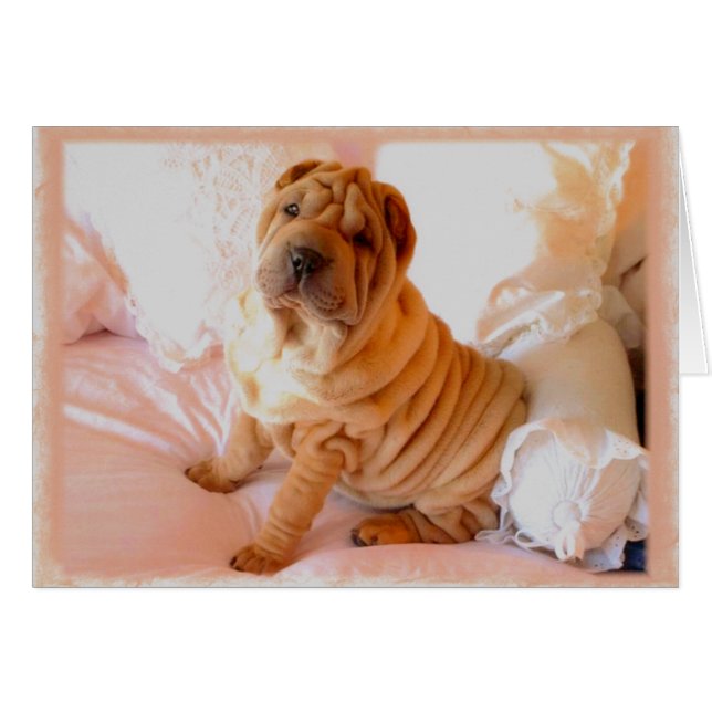 Boudoir (Devant horizontal)