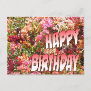 Bougainvillea Carte postale Anniversaire rose