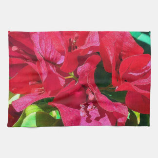 Bougainvillea Closeup Serviettes de cuisine