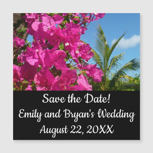 Bougainvilliers et palmiers paysage tropical (Devant)