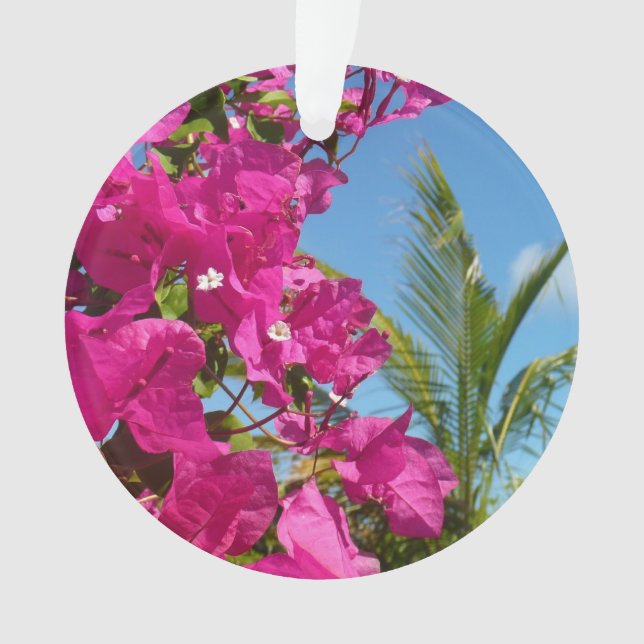 Bougainvilliers et palmiers paysage tropical (devant)