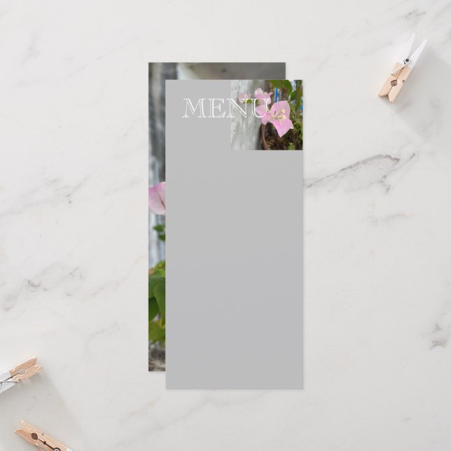 bougainvilliers roses ou fleur de papier, tropical (Devant/Arrière en situation)