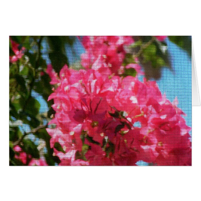 Bougainy (Devant horizontal)
