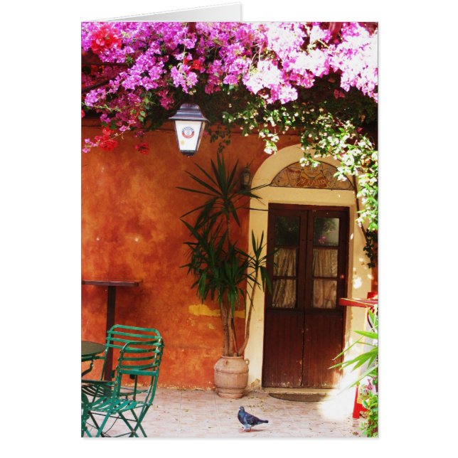 Bouganvillée s'élevant en dehors d'une maison, (Devant)