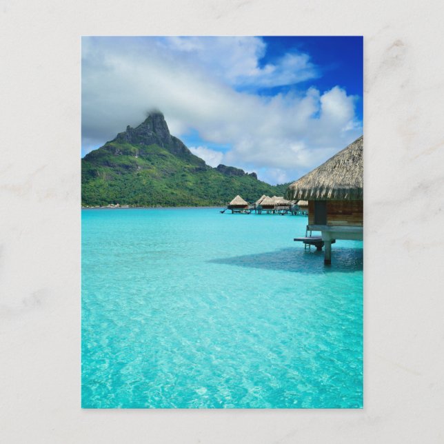 Bougots d'eau en Bora Bora carte postale verticale (Devant)