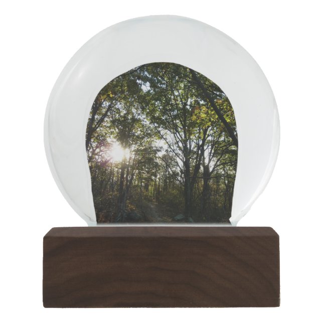 Boule À Neige Automne Matin au Parc national de Shenandoah (Devant)