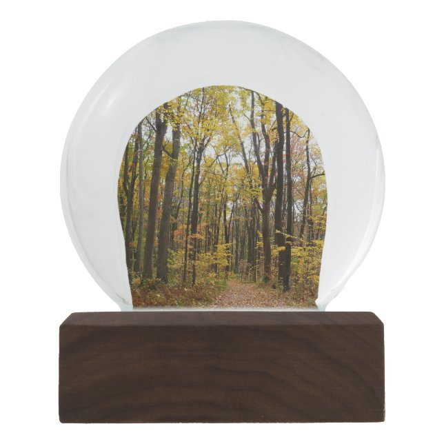 Boule À Neige Chemin d'automne et Feuilles d'or au parc Laurel H (Devant)