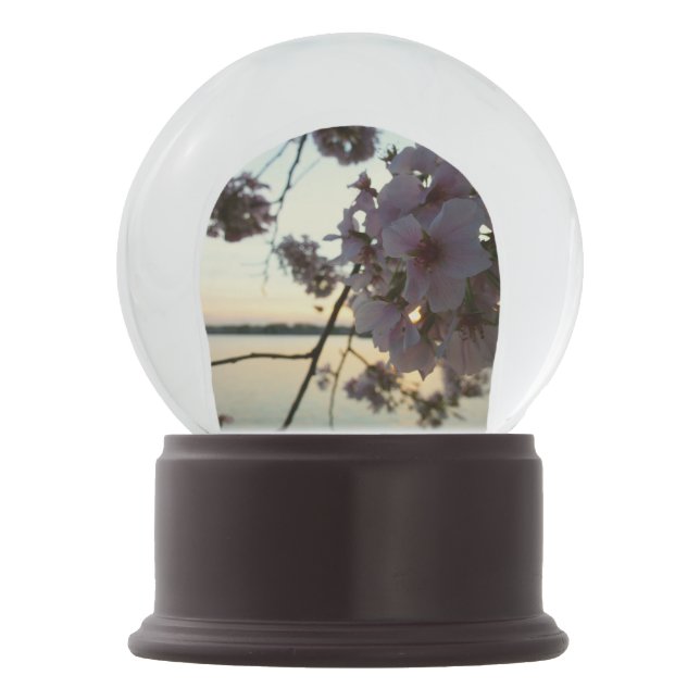 Boule À Neige Cherry Blossom Sunset à Washington DC (Devant)