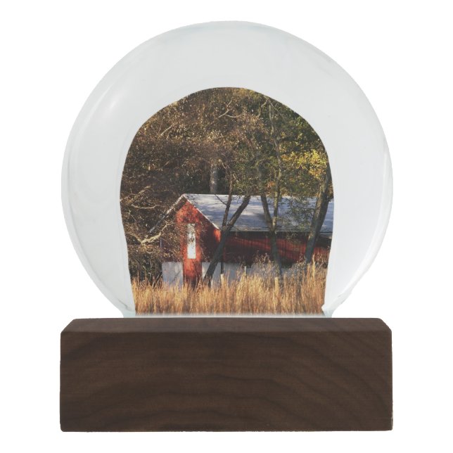 Boule À Neige Étoile d'automne dans le Maryland central (Devant)