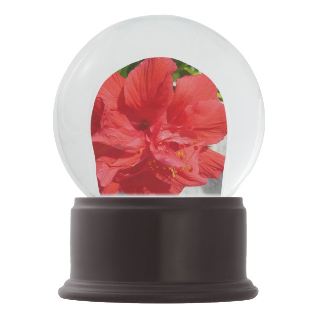Boule À Neige Fleur double hibiscus rouge (Dos)