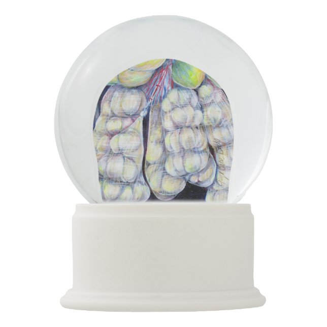 Boule À Neige Singapour : Les merveilles des marchés occidentaux (Devant)