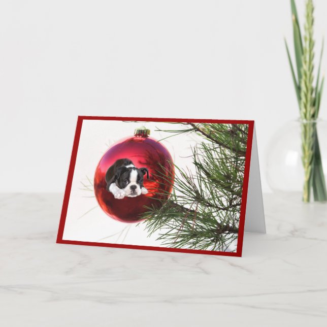 Boule de carte de Noël de Boston Terrier (Devant)