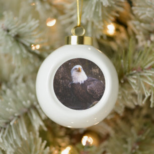 Boule En Céramique Aigle de Bald
