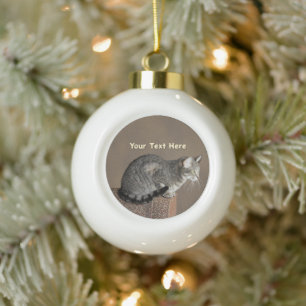 Boule En Céramique Chat Tabby Gris Fumé