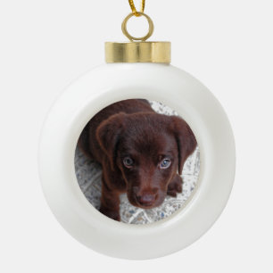 Boule En Céramique Chiot