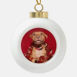 Boule En Céramique Chiot heureux de pitbull de vacances