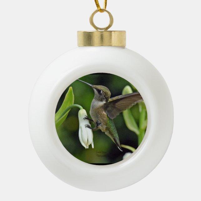 Boule En Céramique Colibri (Devant)