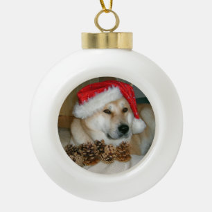 Boule En Céramique Cute akita en chapeau de santa rouge avec cônes de