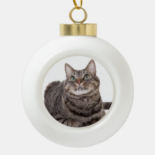 Boule En Céramique Gray Tabby Cat