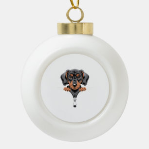 Boule En Céramique Illustration de teckel mignon qui regarde par la f