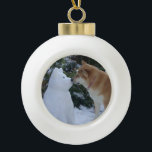 Boule En Céramique mignon chien akita embrasser snowdog<br><div class="desc">Ce grand ornement de noël a une photo de drôle de neige akita bonhomme sur le devant. L’akita de neige a été construit juste après Noël dans la neige épaisse de décembre.L’akita de bonhomme de neige a une drôle d’expression sur son visage, mais... je pense que quelqu’un aurait l’air de...</div>