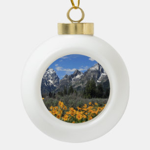 Boule En Céramique Montagnes du Grand Teton aux fleurs jaunes