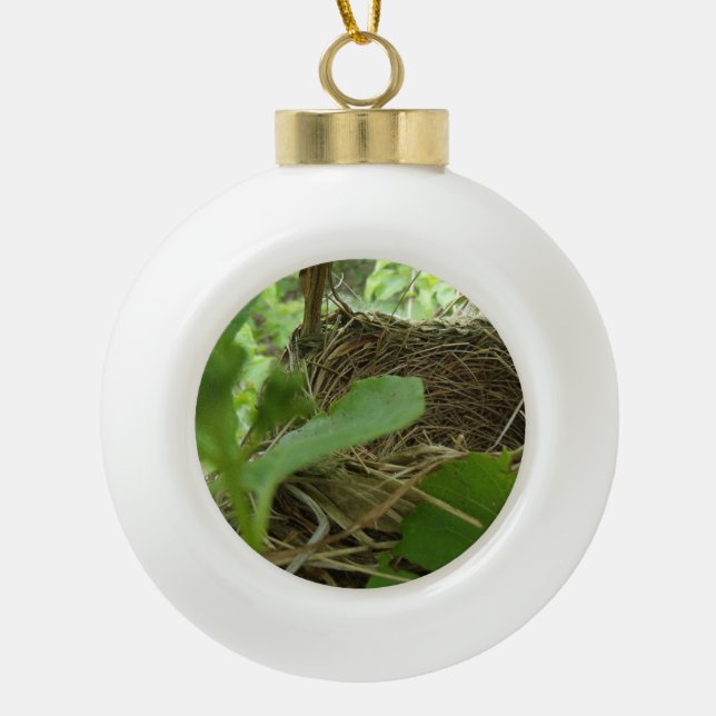 Boule En Céramique Nid nouvellement construit mais vide d'oiseau dans (Devant)