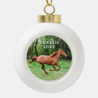 Nom personnalisé et photo du cheval de l'année