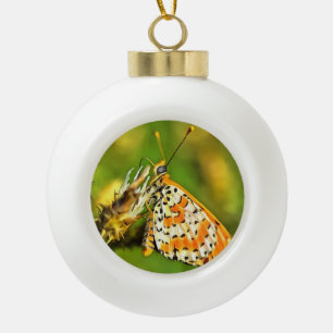 Boule En Céramique Papillon blanc et orange du Fritillaire tacheté