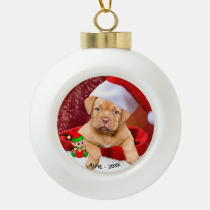 Boule En Céramique Photo de chiot Pitbull personnalisé avec un elfe m
