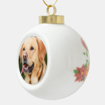 Photo personnalisée de chien de compagnie